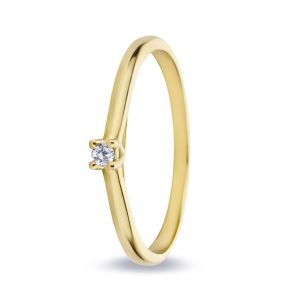 Miss Spring 14 karaats Gouden Ring “Noor met Diamant”