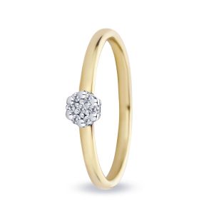 Miss Spring 14 karaats Gouden Ring “Isabel met Diamant”