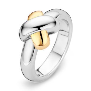 Tirisi Moda Zilveren Ring met 18 karaats Goud